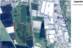 NSG Pfingstweide und Kloppenheimer Wäldchen © Stadt Karben